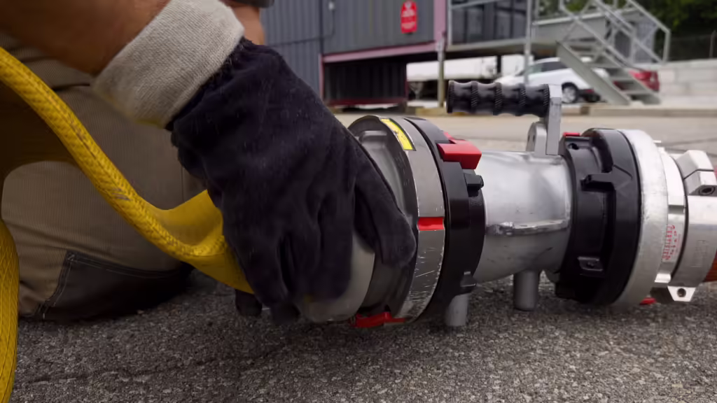 LDH SIAMESE WITH CLAPPER.00 00 16 18.Still006 1